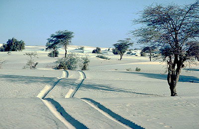 Dünenlandschaft südlich des Lacs Faguibine (Mali)