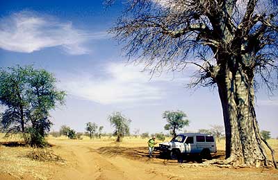 Piste zwischen Ed Daein und En Nahud (Sudan)