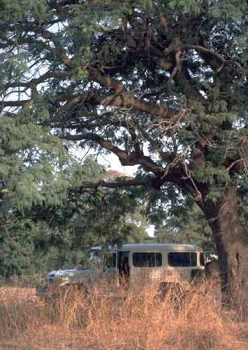 Rastplatz in Mali