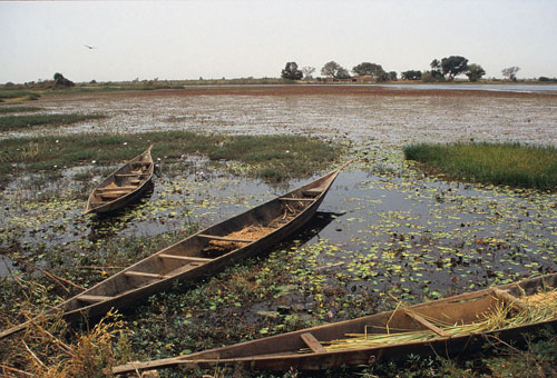 Niger Binnendelta, Mali
