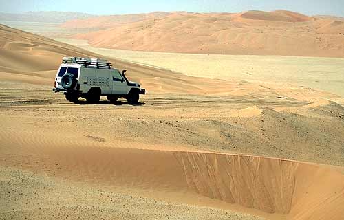 nahe Liwa-Oasen, U.A.E.