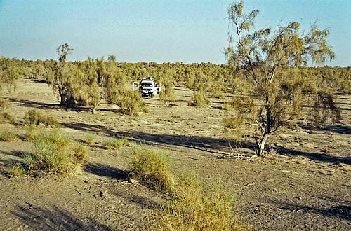 Kyzyl Kum, Uzbekistan