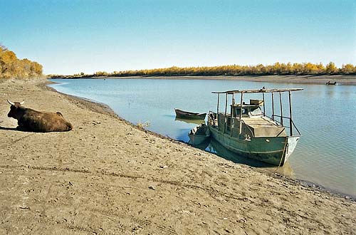 Amudarya nahe Aral See