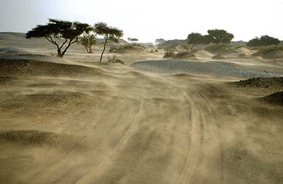 'minensichere Piste' am Westrand des Tibesti