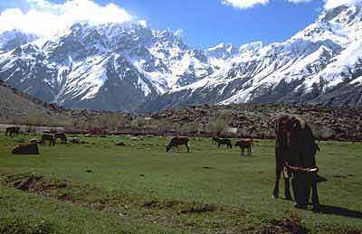 Pamir-Berge