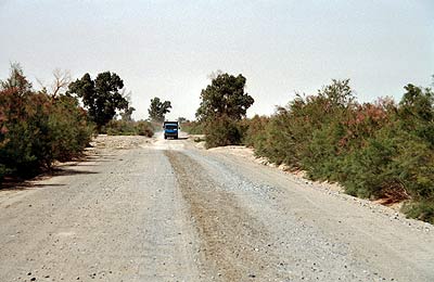 südliche Seidenstrasse (315): Wellblechpiste zwischen Qiemo und Minfeng