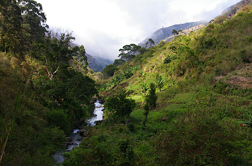 Usambara Mountains