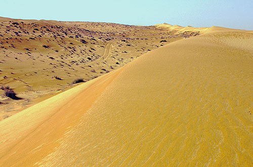 Spuren in der Wahibah Sandsee