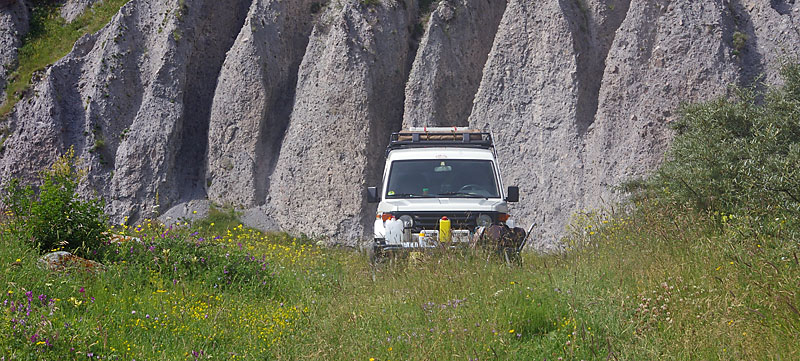 Bergwiese am Kazbegh